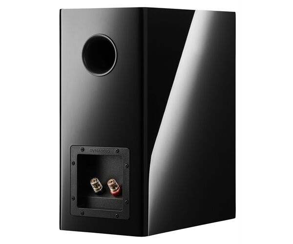 Dynaudio Evoke 20