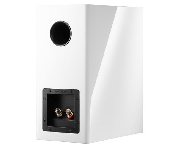 Dynaudio Evoke 20