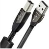 Audioquest Diamond USB (A - B)