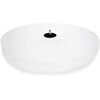 Pro-Ject Acryl it RPM 1