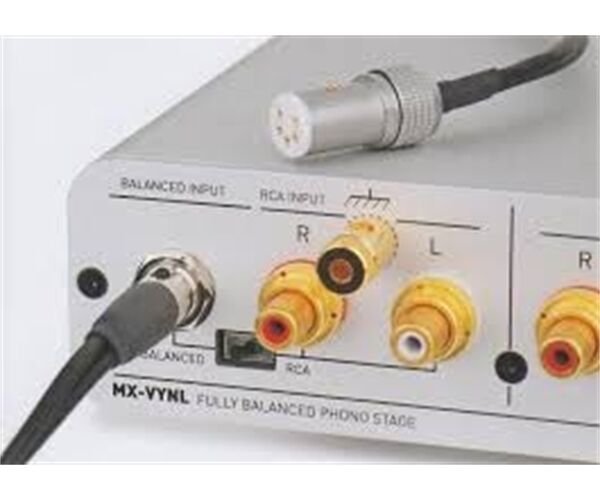 Musical Fidelity SymCon (Mini-XLR auf 2x RCA)