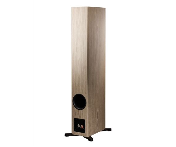 Dynaudio Evoke 50