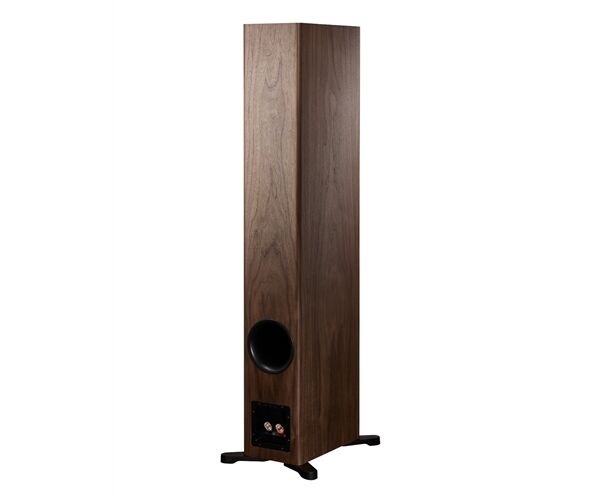 Dynaudio Evoke 50