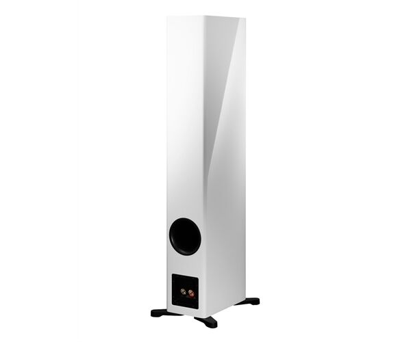 Dynaudio Evoke 50