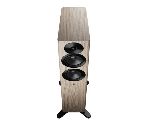 Dynaudio Focus 30