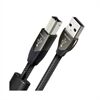 Audioquest Diamond USB (A - B)