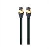 Audioquest Forest Ethernet